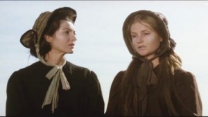 Les sœurs Brontë