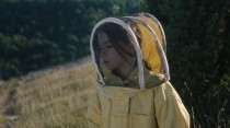 20 000 espèces d'abeilles