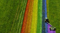 La Pride des champs