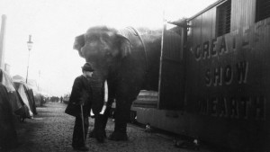 La tragique histoire de Fritz l'éléphant
