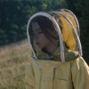 20 000 espèces d'abeilles