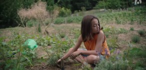 20 000 espèces d'abeilles